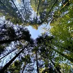 אתר קמפינג De La Foret Seasonova 3*