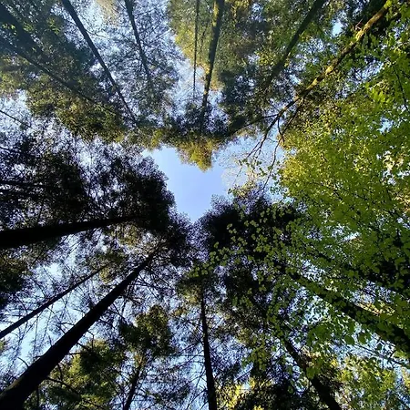 مكان تخييم De La Foret Seasonova 3*