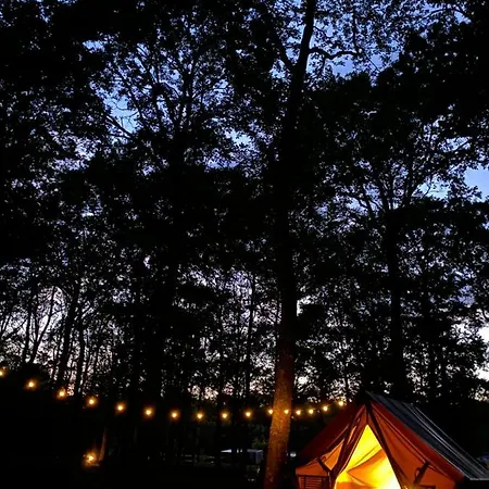 Campsite De La Foret Seasonova