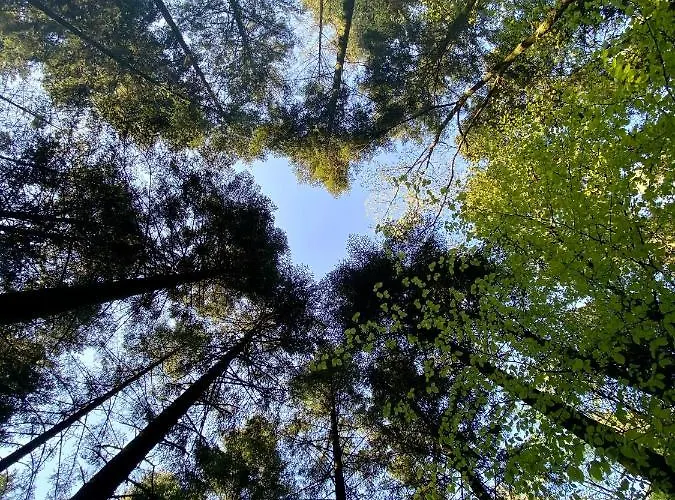 مكان تخييم De La Foret Seasonova 3*