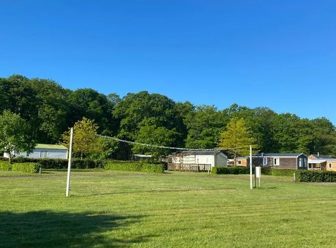 De La Foret Seasonova