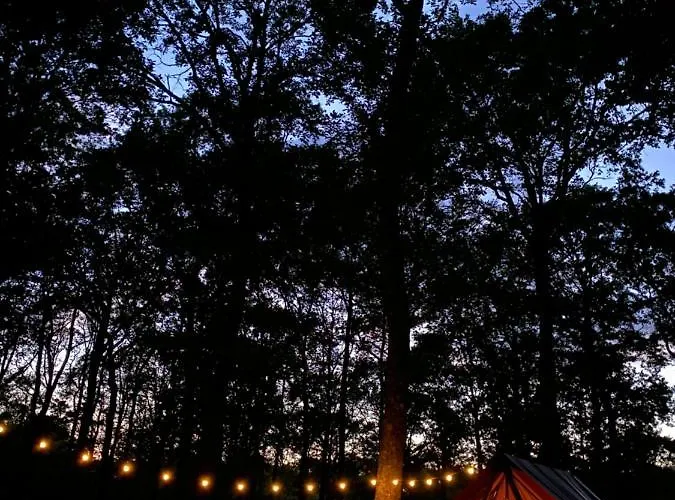 Campeggio De La Foret Seasonova