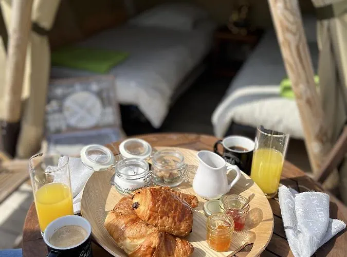 De La Foret Seasonova